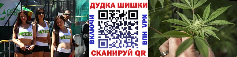 Бошки марихуана планчик  купить наркотики сайты  Чегем 